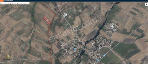 Tekirdağ Saray Büyük Yoncalı Köyünde Satılık Fırsat Tarlamız