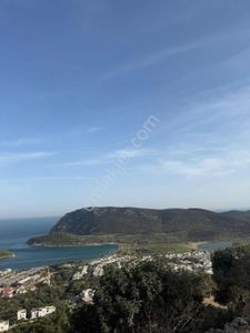 Tisan Da Bakımlı Dubleks