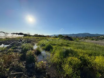 Sevinç Yörük Gayrimenkuldan Süleymanlıda 520 M2 Tek Tapu Tarla