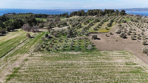 Çanakkale Merkez Erenköyde 980 M2 Tarla Erenköye Yakın