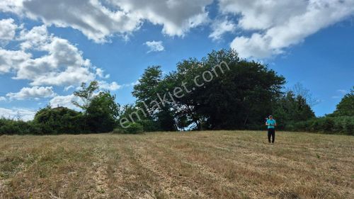 Kocaeli Kandıra Çamkonakta Cadde Üzerinde Ormana Ve Denize Yakın