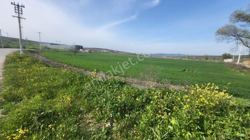 Nilüfer B.balıklı Mah Kavaklar Mevkii Yatırım Fırsatı Satılık Tarla