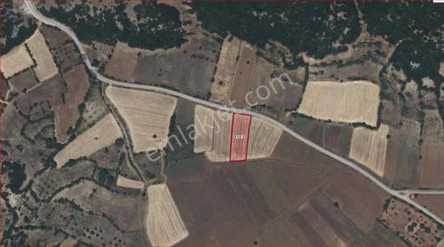 Çanaklı Köyünde Satılık Fırsat Arazi