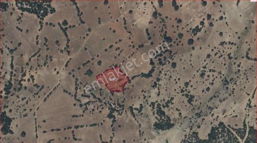 Çanaklı Köyünde Yatırımlık Fırsat Arazi