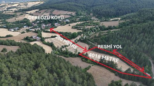 Kastamonu Daday Dereözü Köy Dibi 4018 M2 Tarım Arazisi Köye 450m