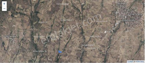 Üsküp/kemalpaşada Hisseli Tarla Payı Kaçırılmayacak Fiyat