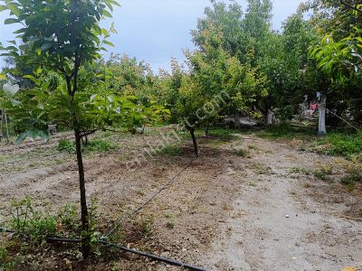 Yurtbaşı Merkezde Dönümü 2.250 Bin Tl Ye Satılık İmarlı Arsa