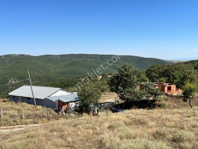 Balkan Gündüzden Bilecik Gündüzbey Köyünde İmarlı Satılık Arsa