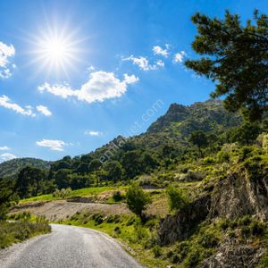 İzmir Bergama Yola Cepheli 4637 M2 Acil Fırsat Satılık Tarla