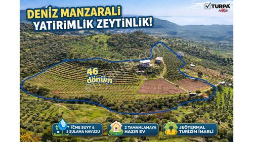 Turpa Arxesten Deniz Manzaralı 46 Dönüm Çiftlik Satılıktır.
