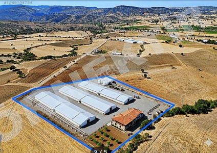 Çiftlik Yapımına Uygun Tarla