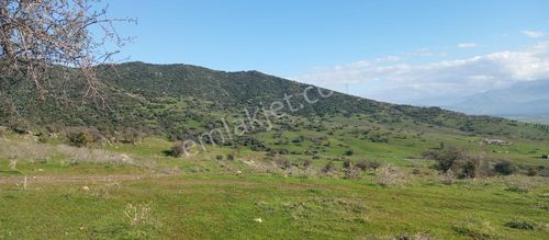 1411 M2 Tapulu Hisseli Tarla