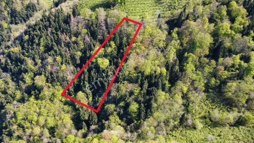 Trabzon'da Satılık Arazi