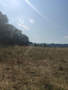 Sahibinden - Yapıldak'ta Dereye Sıfır - 2141m² - Yola Ve Köye Yakın