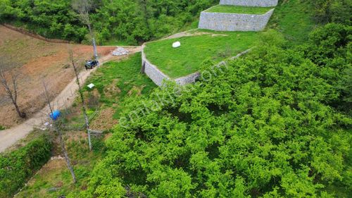 Trabzon Yomra'da Satılık Arsa (taş Duvarı Yapılmış)