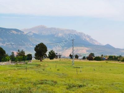 Kar Emlaktan Alpu Yaylasında 480 M2 Satılık Arsa