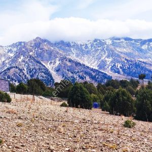 Kar Emlaktan Aşçıbekirli Fenese Mevkiinde 5000 M2 Satılık Tarla