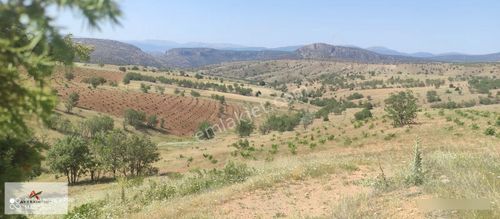 500 Adet Üzüm Bağı Ekili 7.474 M2 Arazi