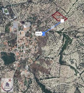 Kuzey Sancak'tan Mutlu Köy İçinde Zeytinlik