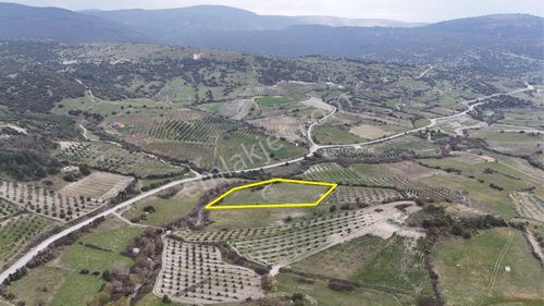 Akhisar Arabacıbozköyde 7.350 M² Tek Tapu Yatırımlık Tarla