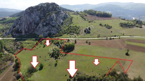 Sakarya Geyve Ahibaba Da Yola Cepheli 12.652 M²yatırımlık Arazi