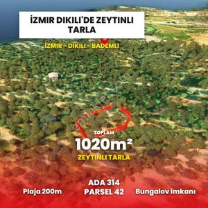 Plaja Yakın Yatırımlık