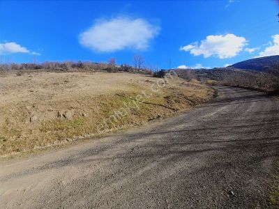 Ahşena'dan Alaçam'da Ev Yapımına Uygun 2688 M2 Satılık Arazi