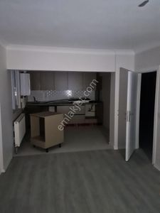 3+1 Sıfır Daire