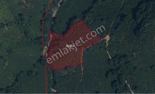 Lerox Uçar'dan Kazımkarabekir'de 11.051 M² Fındık Bahçesi