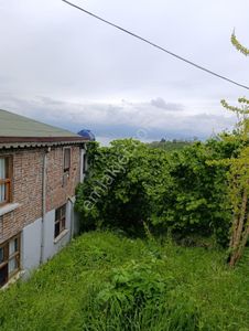 Fatsa Yalıköy Satılık Arazi Ful Deniz Manzaralı