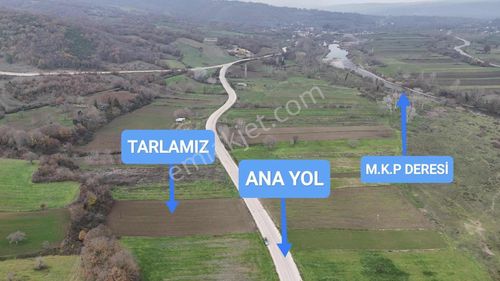 Bursadabul'dan Çavuş Mah.ana Asfalta Cephe Tarla 3.747m2