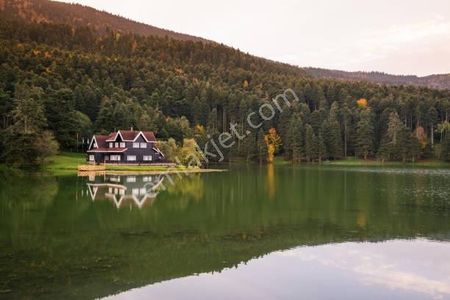 Bolu Göynük'te Satılık 5.464m² Resmi Yola Cepheli Arazi