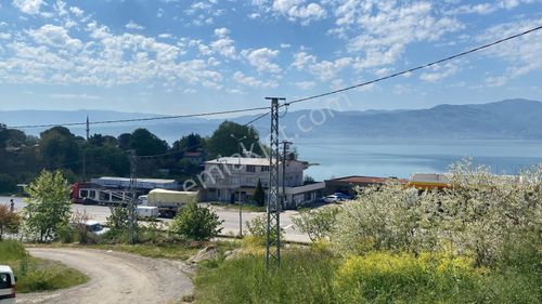 Sapanca Gölü Manzaralı , Yol Kenarı Satılık Meyve Bahçesi