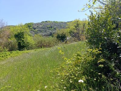 Balıkesir Erdek Kestanelik Mah. 949 M2 Satılık Bahçe Merkezi Konumda Yatırımlık