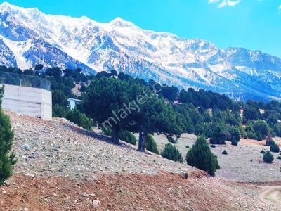 Kar Emlaktan Aşçıbekirli Fenesede 400m2 Satılık Arsa
