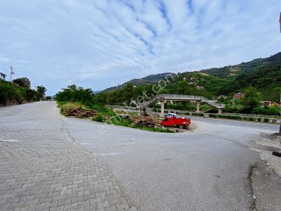 Altın Emlak Çağlayanda Satılık 22 Dönüm Arazi