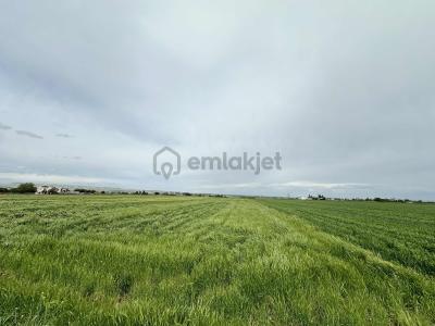 Yeşilloft Gayrimenkul'den Kupon Tarla