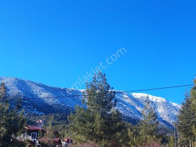 Kar Emlaktan Akçatekir Esentepede Çevre Duvarı Yapılı 500m2 Arsa