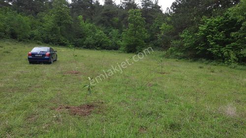 Eymir Göletinde 3200 M2 Tarla