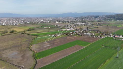 Re/max Maviden Aralıkta İmara 1 Parsel Yatırımlık Tarlalar