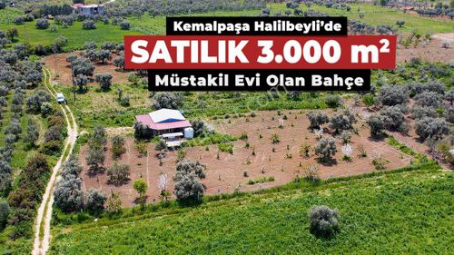 Kemalpaşa Halilbeylide Satılık 3000 M2 Bahçe 40 M2 Ev