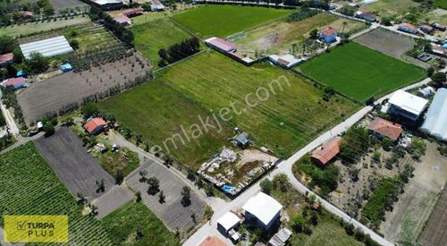 İzmir Urla Kuşçular Satılık 7.222 M2 Tarla