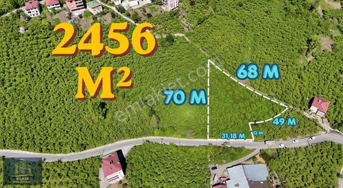 Vyg'den Ortahisar Kutlugün Mahallesinde 2456 M2 Arsa