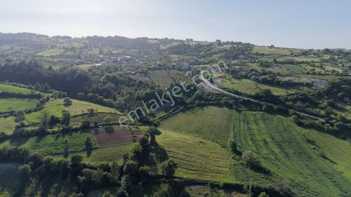 Altıeylül İlçesinin Satılık En Güzel Tarlası