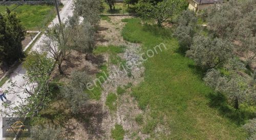 Muğla Fethiye Üzümlü Merkezde 789 M2 Tarla