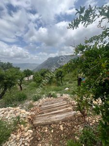 Mersin Silifke Karakaya'da Doğayla İç İçe Yaylalık Müstakil Ev Ve Arsa