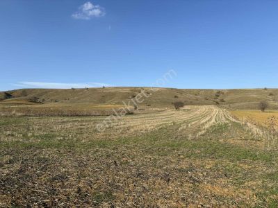 Mustafa Yılmaz'dan Söğüt Oluklu'da 4.390m² Arazi