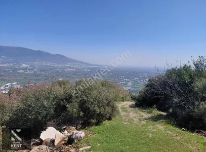 Kemalpaşa Soğukpınar Acil!!! Satılık 2,877m2 Bahçe