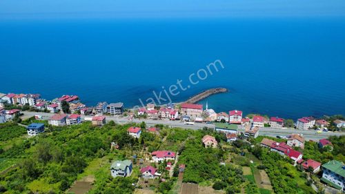 Trabzon Akçaabat'ta Satılık Deniz Manzaralı Arazi