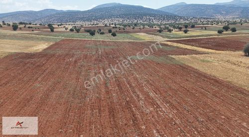 Akören / Ağalar Mahallesinde 6.721 M² Müstakil Tapulu Tarla